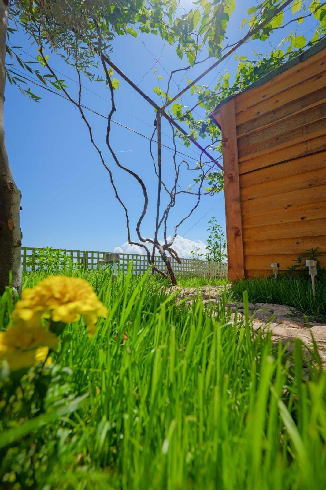 Vila Fjona Sarandë Exteriör bild